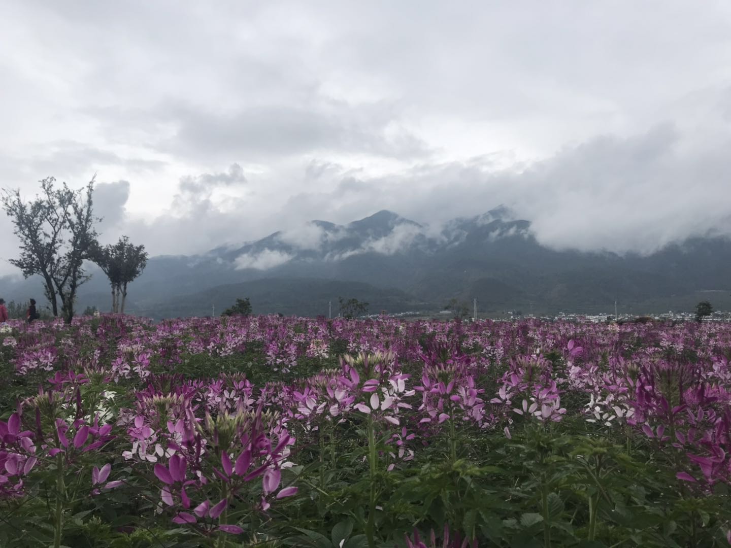 昆山会计师事务所